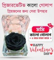 Real Black Rose Flower With Crystal Box(Preserved)