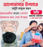 Real Black Rose Flower With Crystal Box(Preserved)